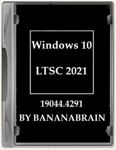 Windows 10 Enterprise LTSC 2021 21H2 10.0.19044.4291 x64 by BananaBrain